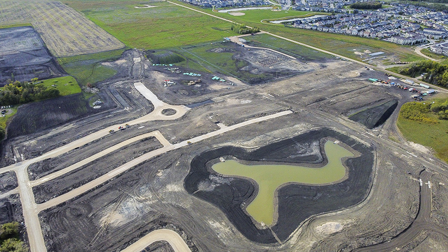 Two-month-old naturalized wetland in Bison Run 